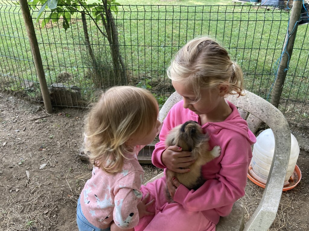 Les Renardieres vakantie Frankrijk dieren kindvriendelijk