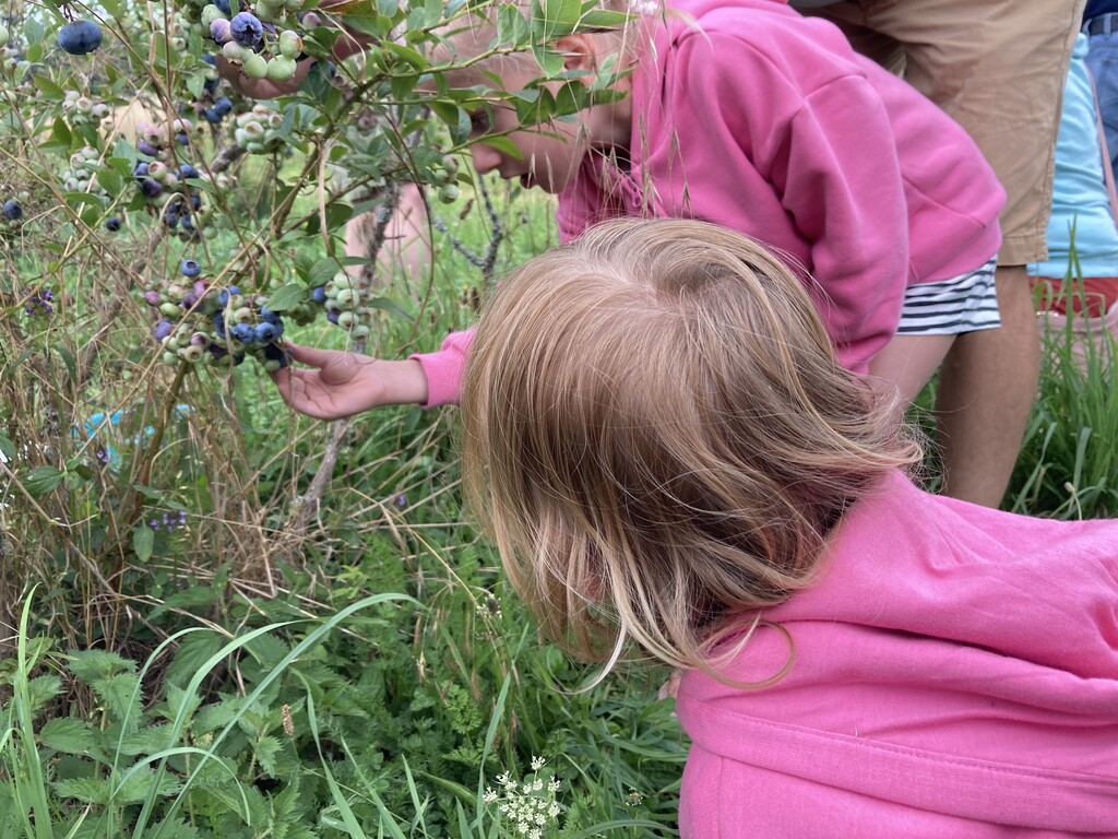 Les Renardieres vakantie Frankrijk natuur