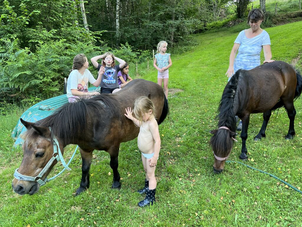 Les Renardieres vakantie Frankrijk dieren