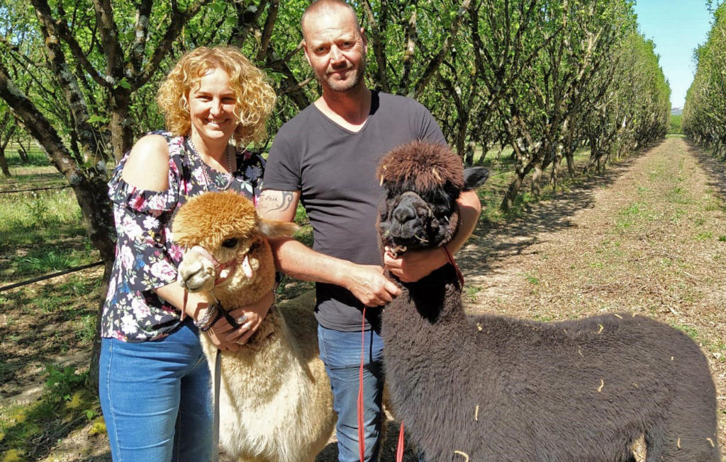 Don giet wandeling alpacas - domaine Ramonjavel