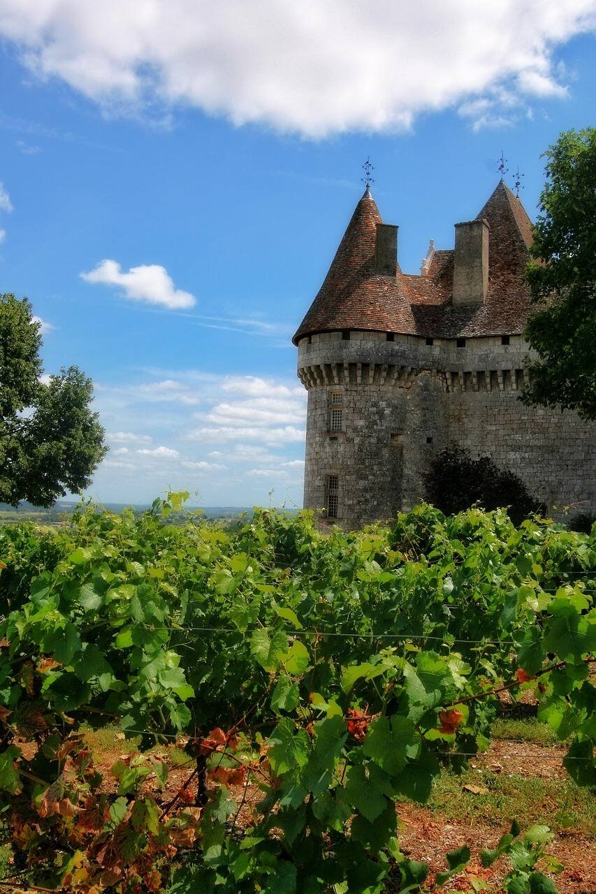 Dordogne Chateau