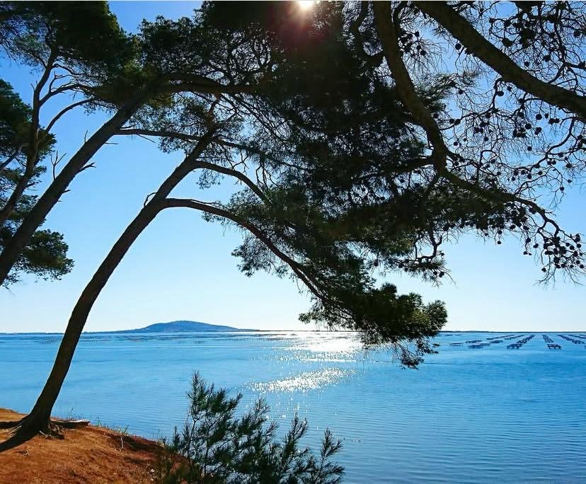 Herault water zee