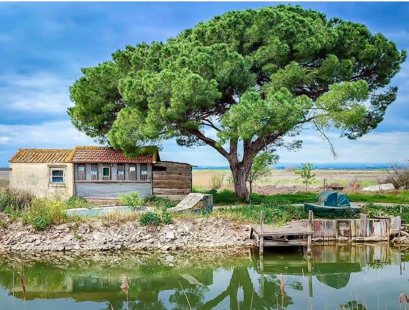 Marit neemt je mee st Paul le Marseillais