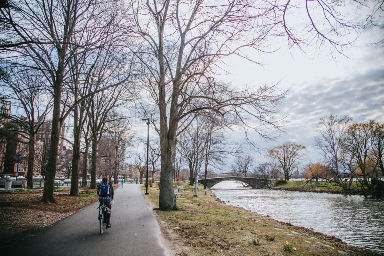 Nederland fietser
