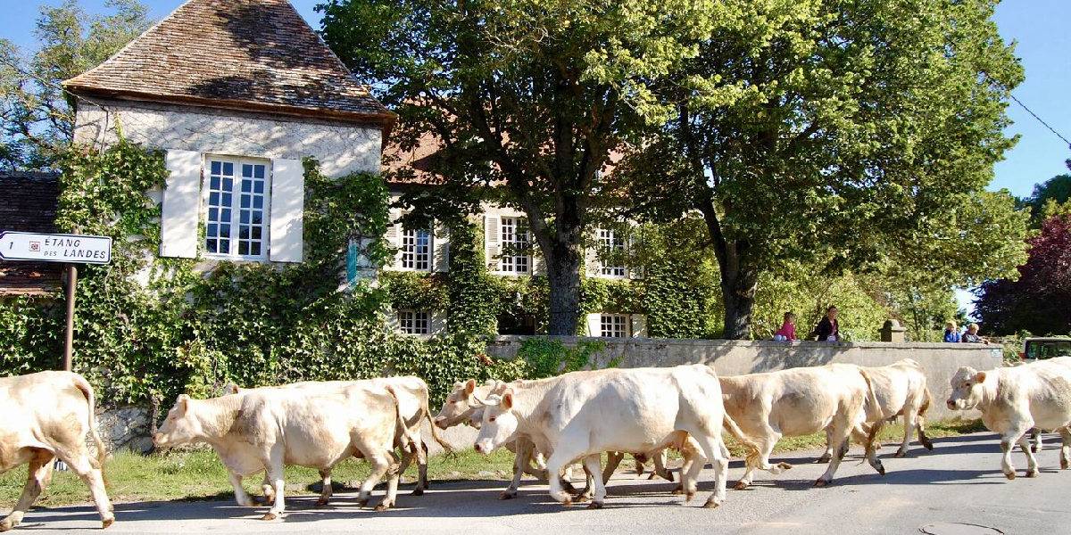 Les Petites Perles landelijke vakantiedomeinen Frankrijk